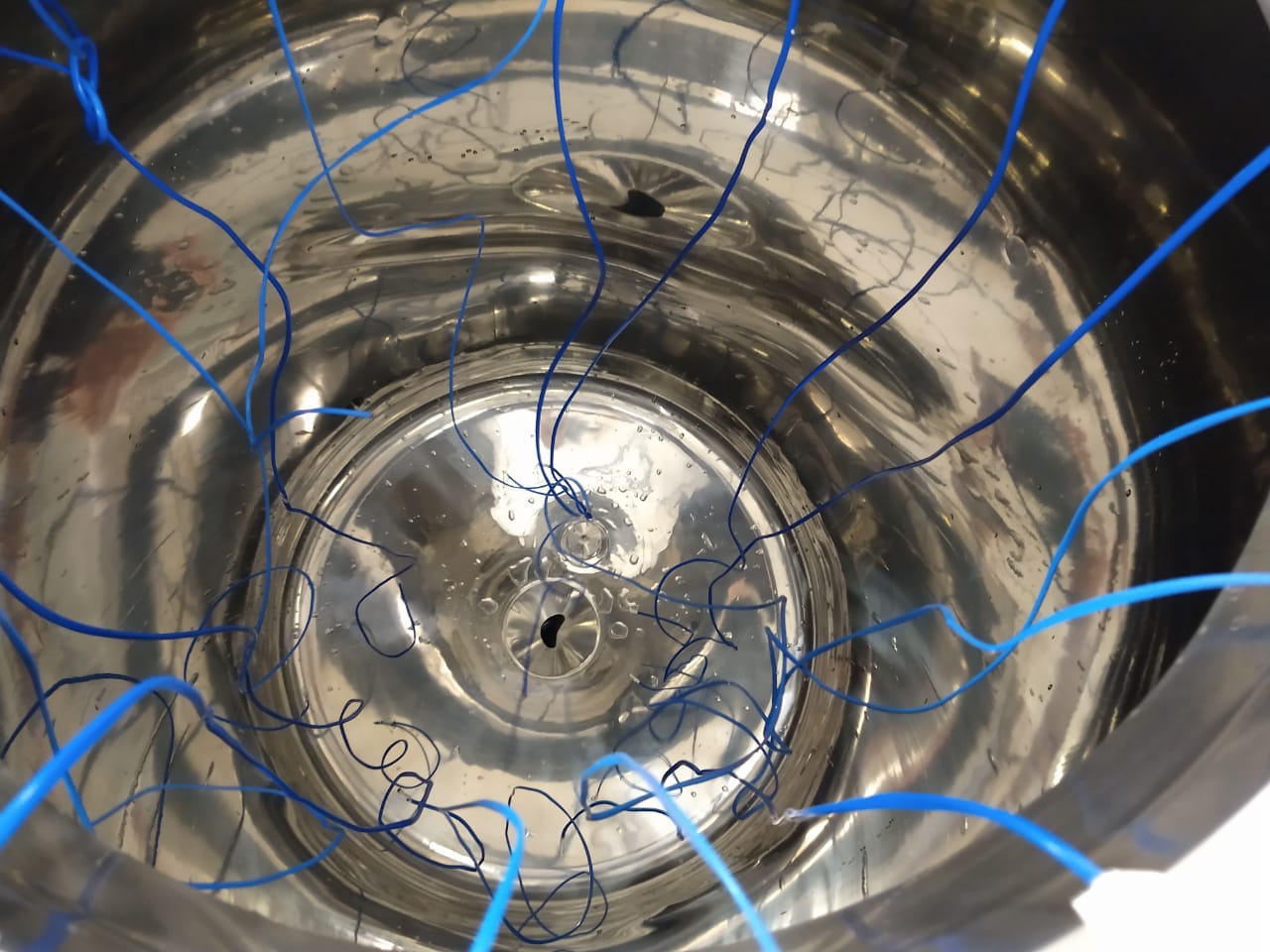 WhatsApp Image 2021-01-15 at 13.53.58 (1).jpeg