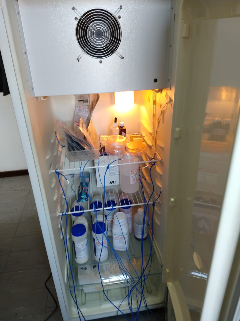 WhatsApp Image 2020-08-06 at 13.46.54.jpeg