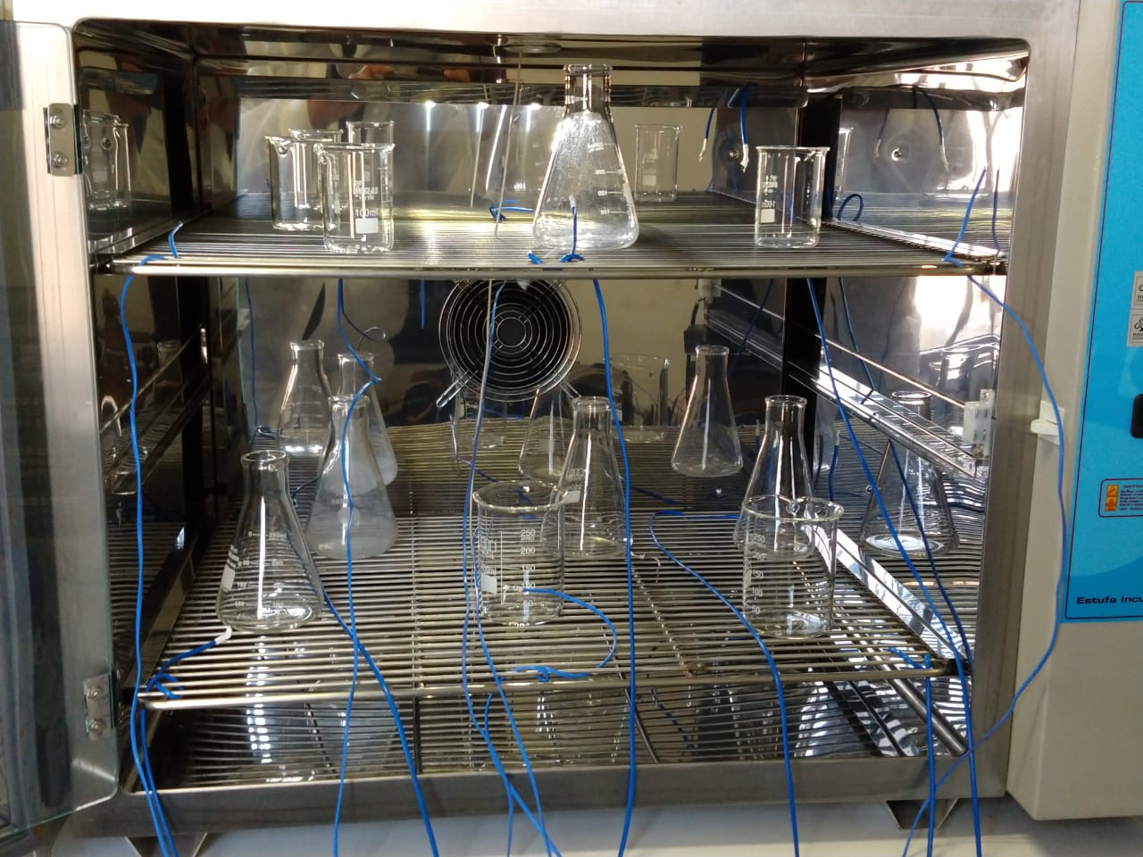 WhatsApp Image 2020-08-06 at 10.33.16.jpeg